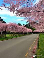 Victoria Esplanade Gardens