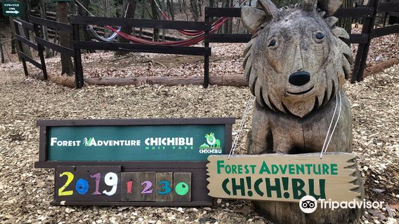 Forest Adventure Chichibu
