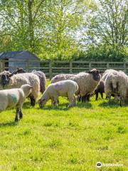 Barleylands Farm Park