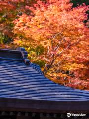 雲辺寺