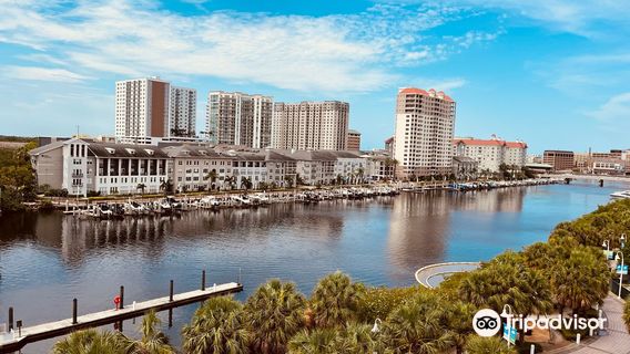 Tampa Bay History Center