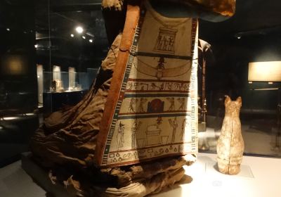 Mumifizierungsmuseum Luxor