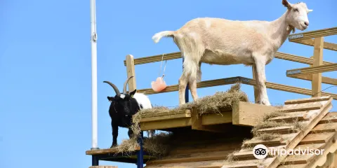 Park Hall the Countryside Experience