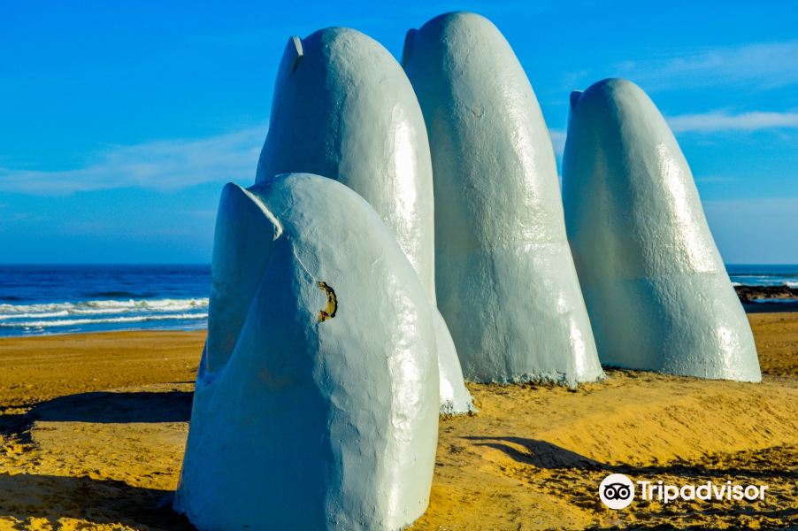 Vol Santarem Punta Del Este