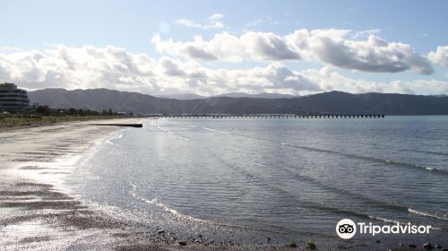 Petone Foreshore