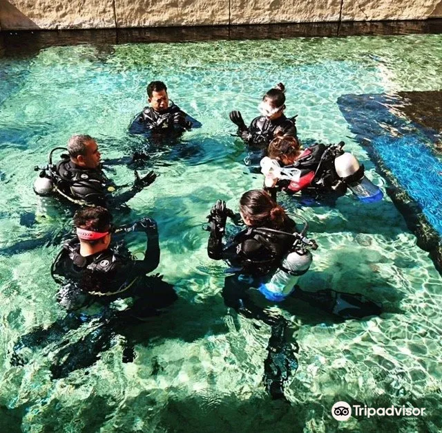 4_Blue Coast Dive Center