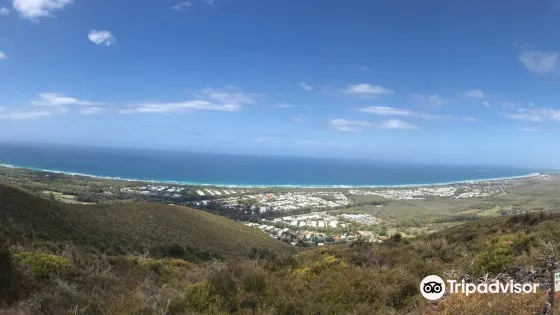 Mount Coolum