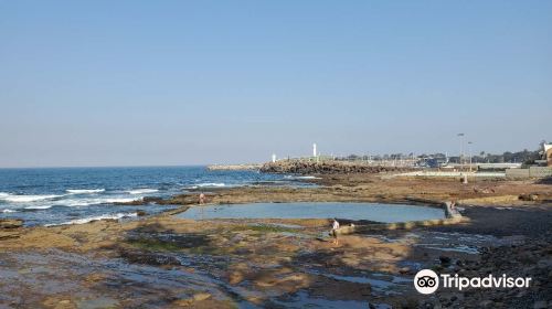 Port Kembla Beach