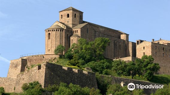 Castillo de Cardona, Conjunto