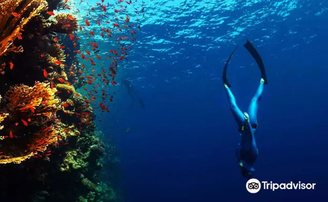 Scuba Diving in Santorini