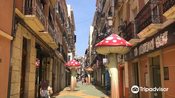 El Carrer dels Bolets