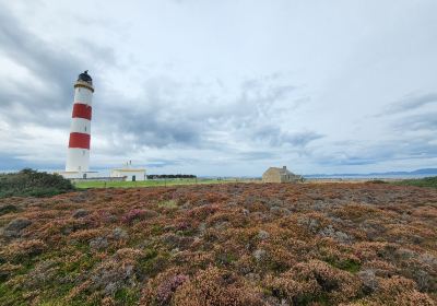 Tarbat Ness Lighthouse