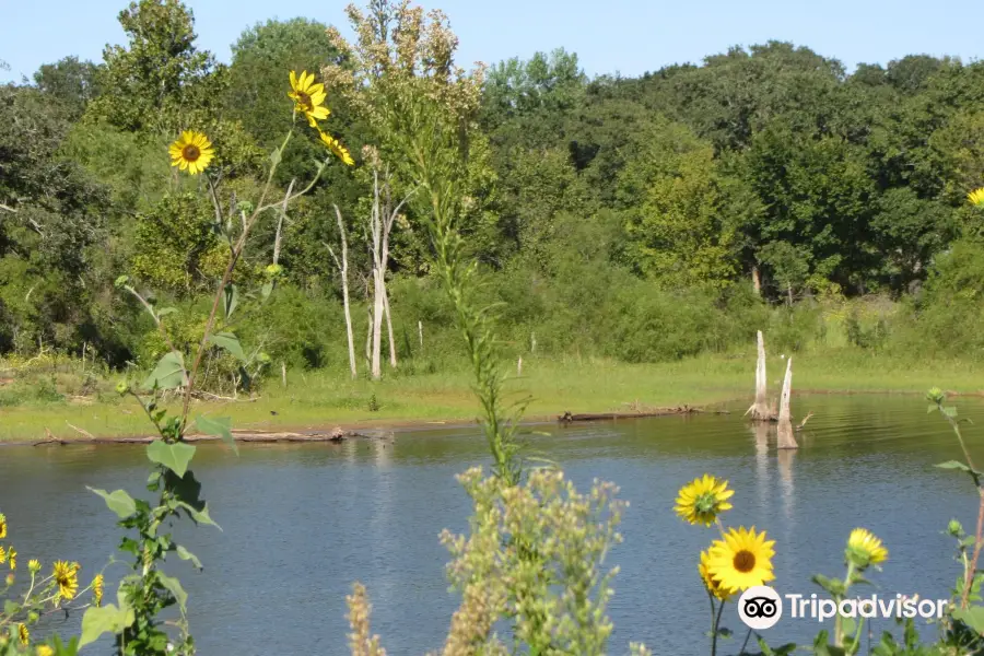 Arcadia Lake