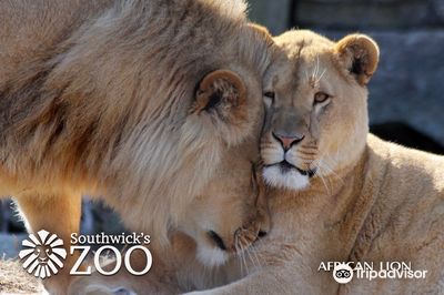 Southwick's Zoo