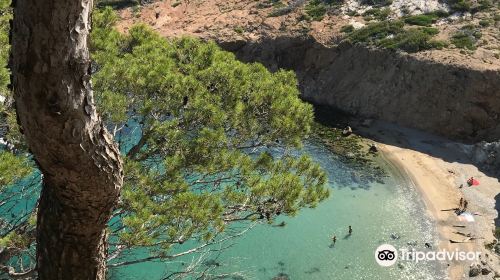 Cala de S'eixugador