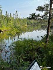 Parc d'État de Lake Bemidji