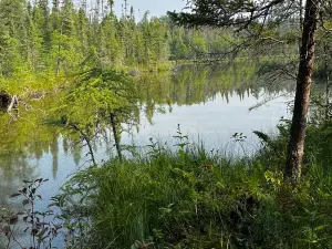 Lake Bemidji State Park