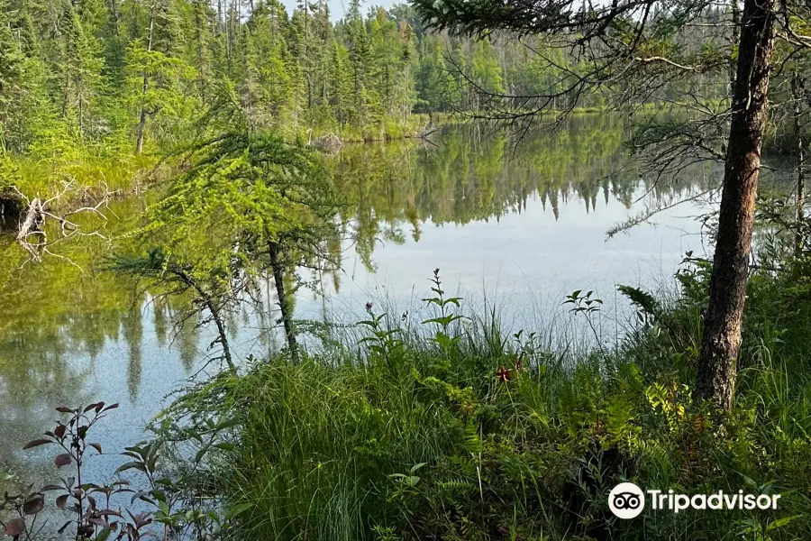 Lake Bemidji State Park