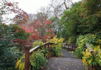 Parc Singleton Park