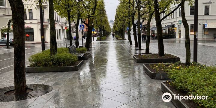 Laisves aleja (Liberty Boulevard)