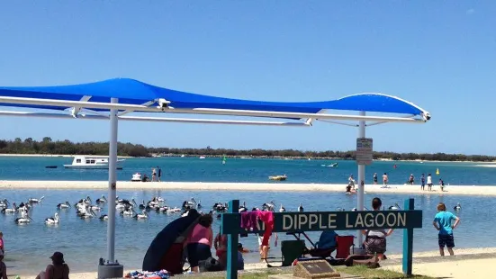 Ian Dipple Lagoon