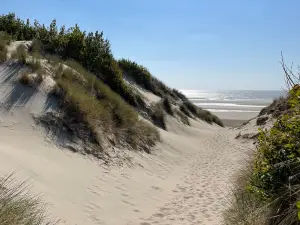 Plage de Stella
