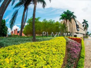 Plaza Mayor, Medellín