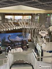 Museum of Natural History, Tohoku University