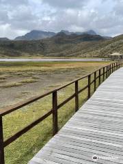 Laguna De Limpiopungo