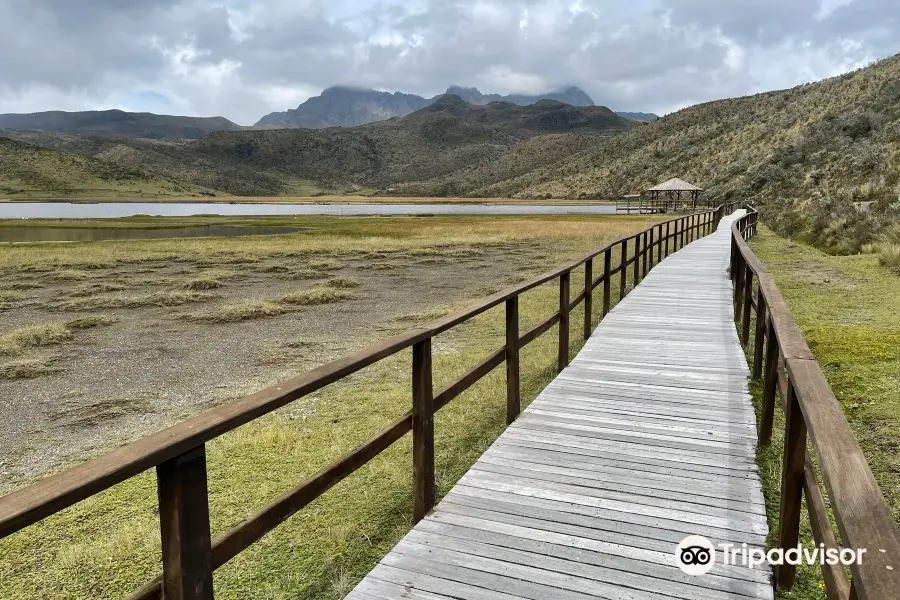 Laguna De Limpiopungo