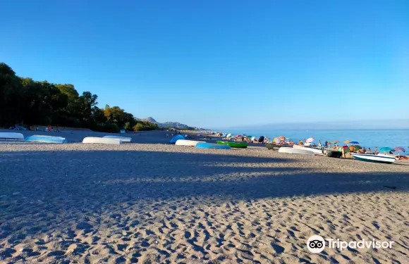 菲烏梅弗雷多·迪·希西爾