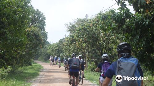 Phnom Penh Cycling