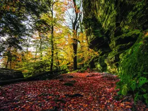 Panama Rocks Scenic Park