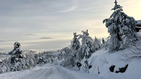 Vradal Panorama Ski Centre attraction in 泰勒馬克郡