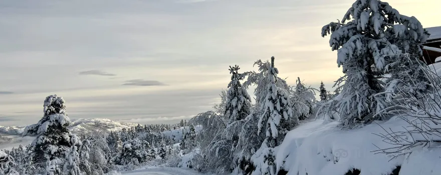 Vradal Panorama Ski Centre