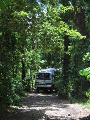 BTS Daintree