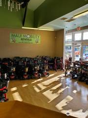 Maui Mobility Systems