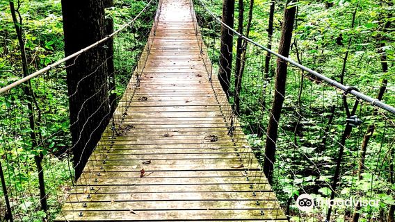 Tims Ford State Park