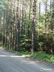 Wakami Lake Provincial Park