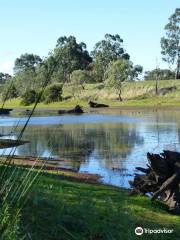 Morang Wetlands