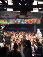 Discoteca Orsa Maggiore