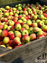 Edwards Apple Orchard West
