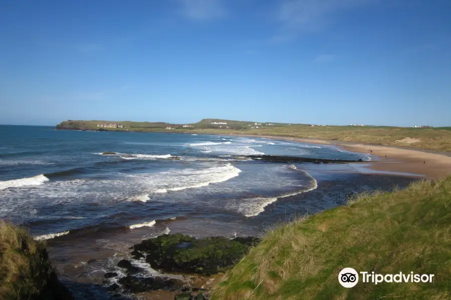 Bushfoot Strand