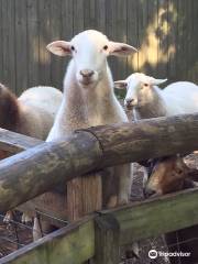 ガルフ・ブリーズ動物園