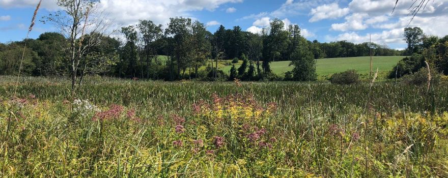 Connecticut Audubon Society--Center at Pomfret