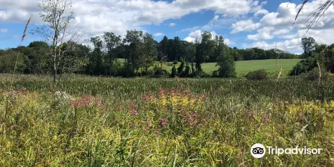 Connecticut Audubon Society--Center at Pomfret