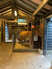 Petting Zoo and Restaurant Hagerhof