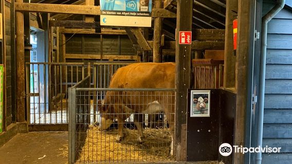 Petting Zoo and Restaurant Hagerhof