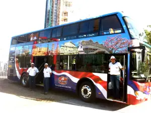 VIP City Bus