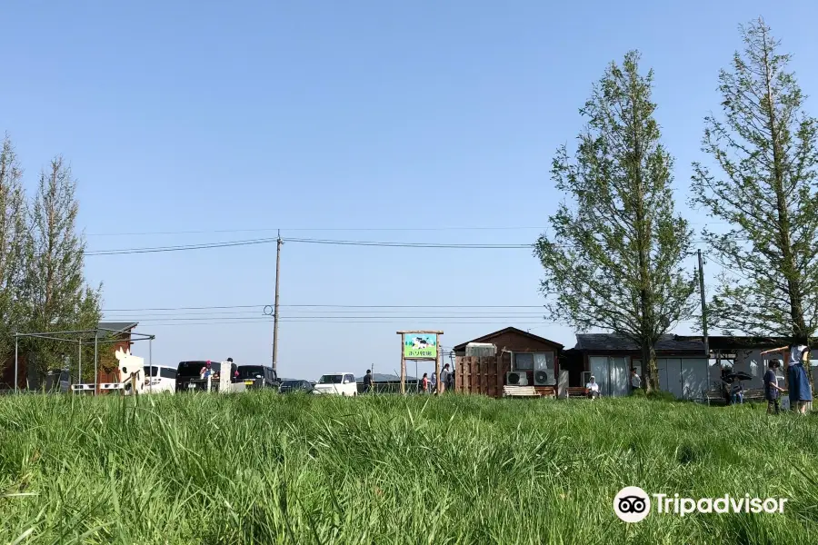 Kahokugata Hori Pasture